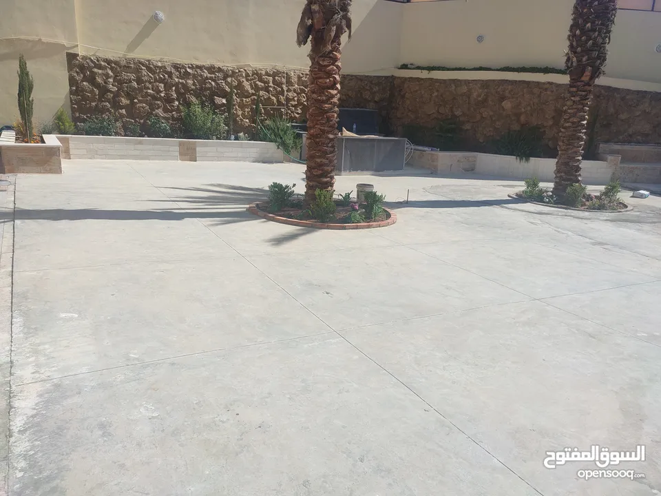 عشب صناعي اقل سعر بالمملكة وتحدي بسعر كثافة وثبات لون  يوجد صناعة  اردني  فيتنامي سعودي مصري امراتي