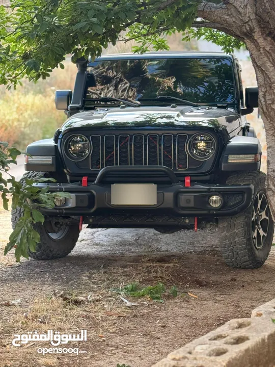 Rubicon 2020