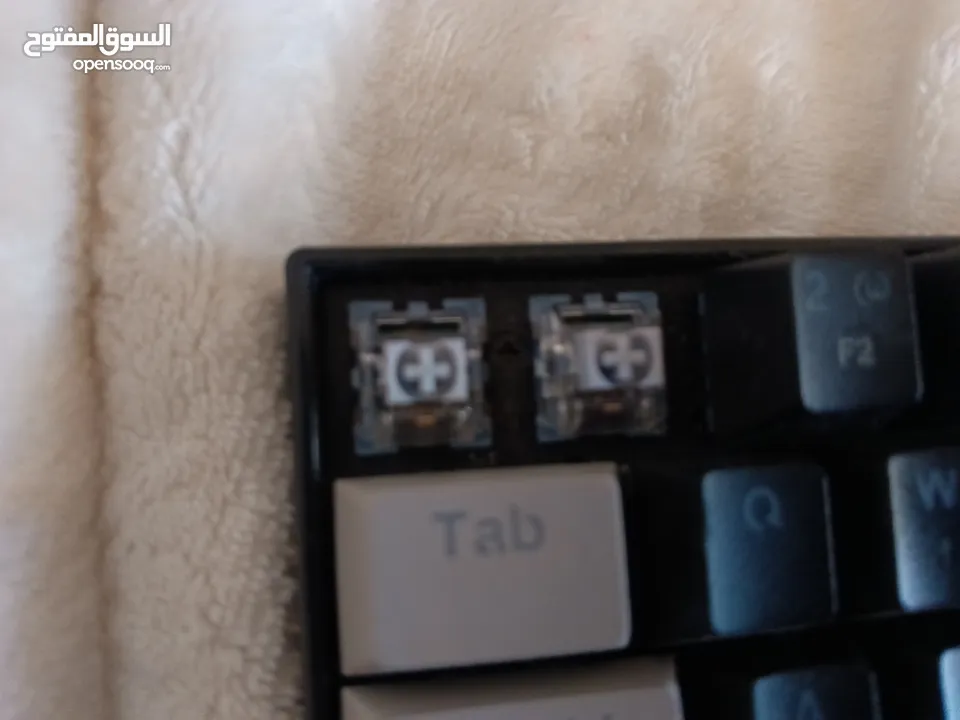 كيبورد ريد دراغون معدل سويتش بنفسجي