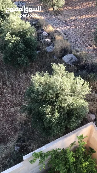 قطعة أرض مميزة في بدر الجديدة للبيع بسعر مغري