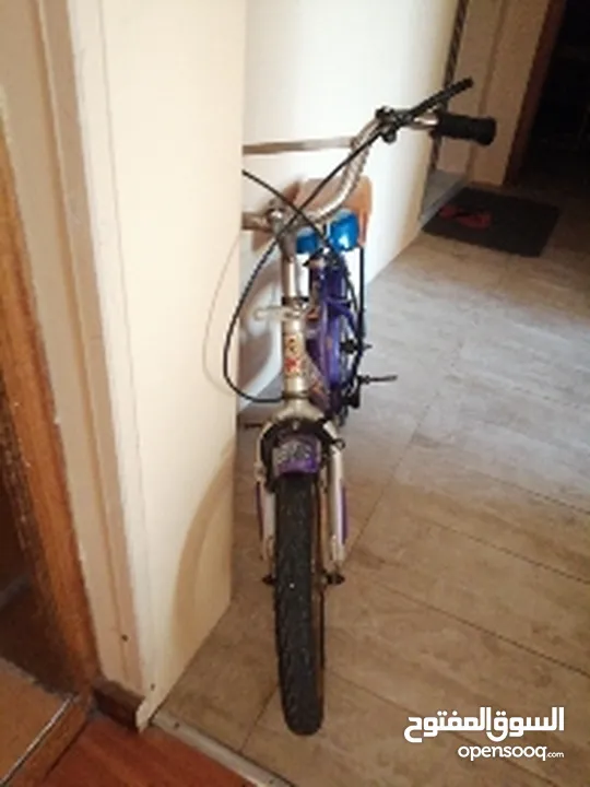 Selling used cycle need to fix the brake and back wheel