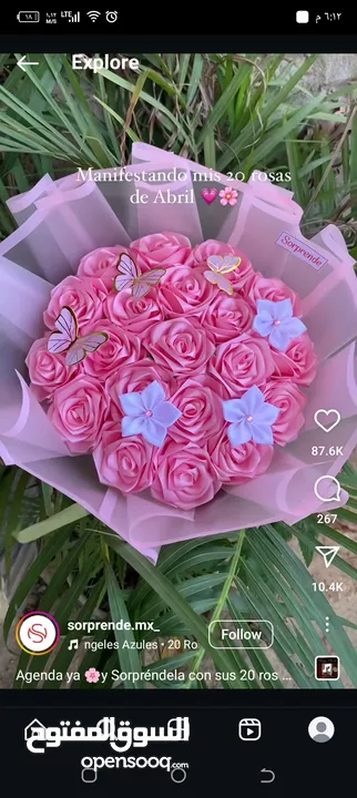 اجمل الباقات