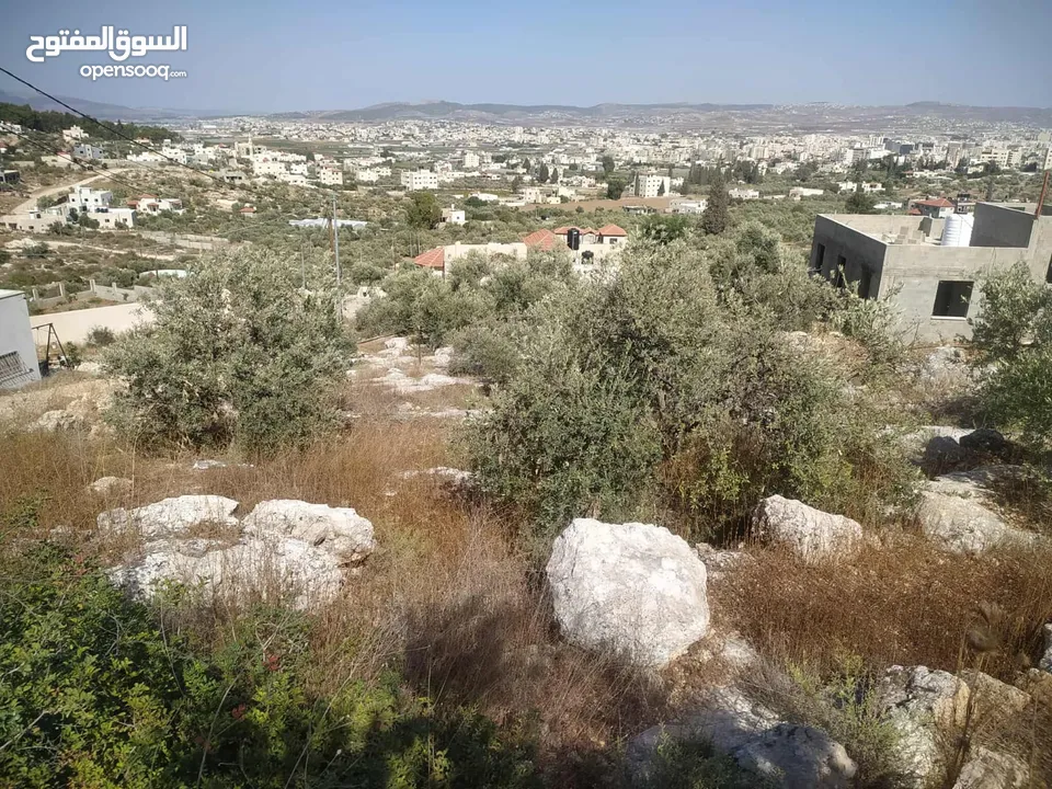 نمرة بناء مساحة 663 صافي