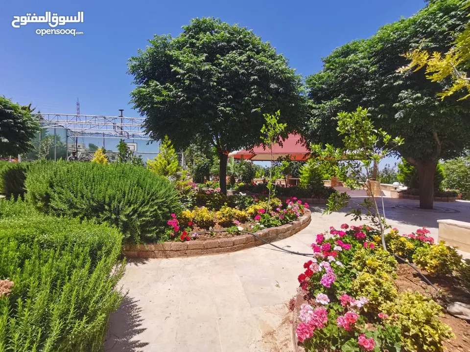 مزرعة للايجار عمان شارع الاردن