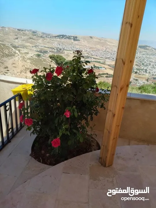 للبيع 200لف
