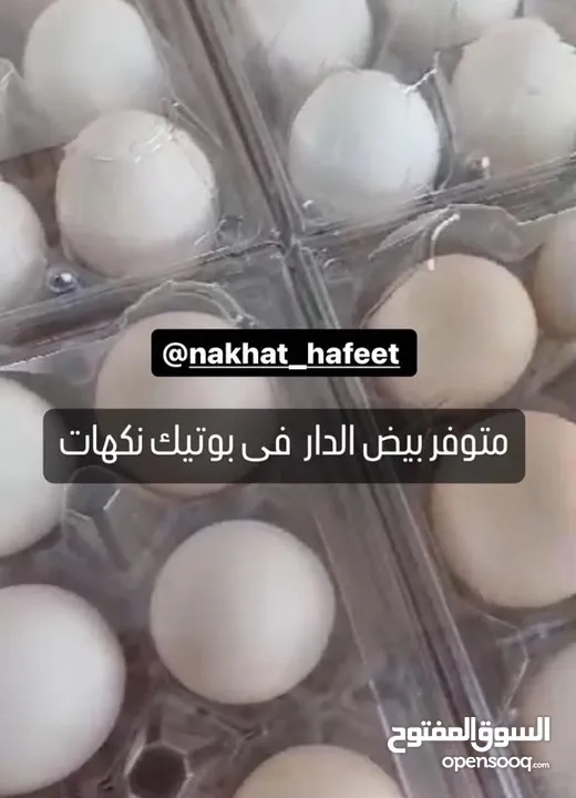 بيض الدار محلى