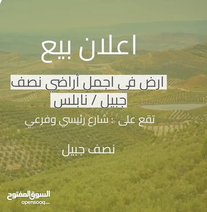 شو بتستنا بدك ارض بسعر مغري وكوشان طابو مستقل في اجمل اراضي نصف جبيل متوفر كافة الخدمات منطقة هادئة