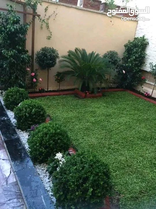 يتوفر جميع أنواع الاشجار  حمضيات لوزيات شجر زينه نسعد بخدمتكم