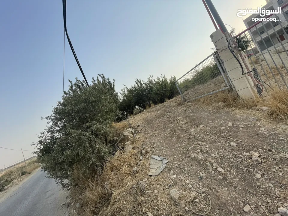 ارض للبيع بنص السعر و دقيقة عن خط ستين و 10 دقايق عن راس الجورة ، موقع ممتاز واصل كافة الخدمات