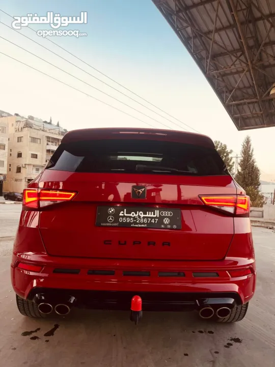 سيت اتكا كوبرا اضافات ما بعد الفل 2020  دهان الشركة