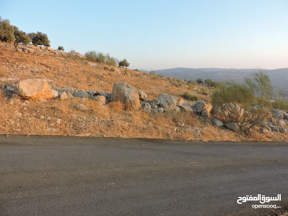 قطعة أرض مميزة في أجمل مناطق كفير جرش