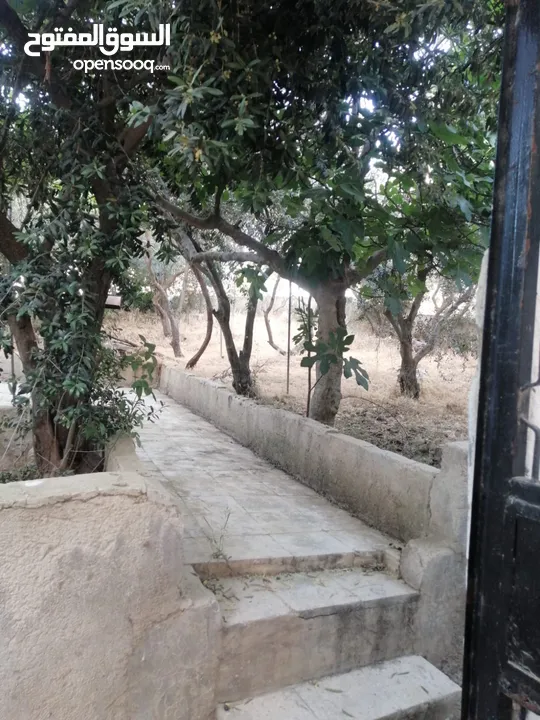 بيت معلق منفوض في اسكان ابو نصير حارة 4