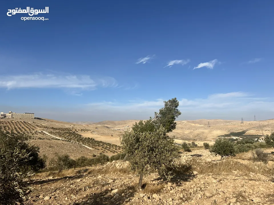 بسم الله الرحمن الرحيم  ارض للبيع في صروت مساحه 3531م3 جميع الخدمات ثاني قطعه عن شارع الرئيسي