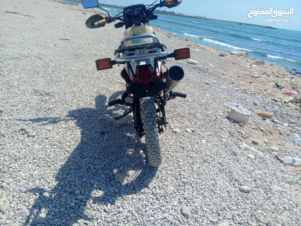 دراجة نارية ياماها دي تي صحراوي 150 سي سي