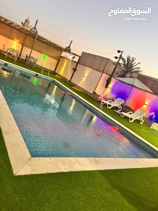 عشب صناعي اقل سعر بالمملكة وتحدي بسعر كثافة وثبات لون  يوجد صناعة  اردني  فيتنامي سعودي مصري امراتي