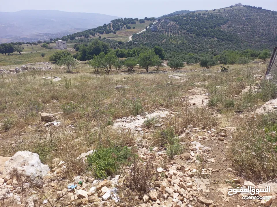 نمرة أرض جرش نجدة