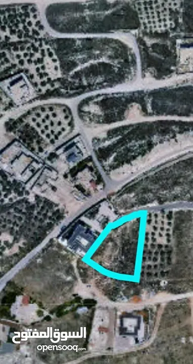 ارض 1700م2. بالعامريه. كوشان طابو  بسعر مغري مطله وكاشفه