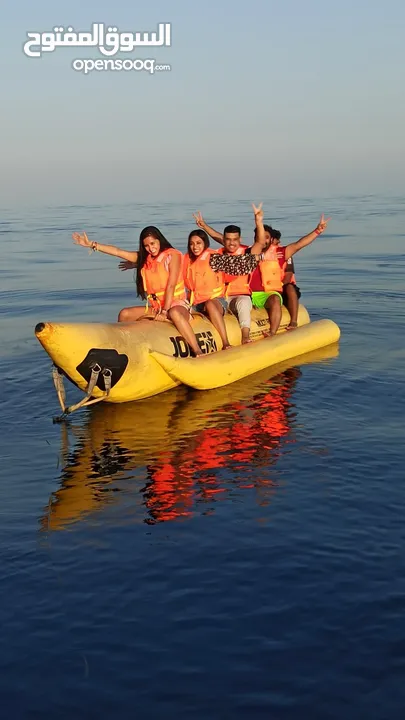 Half Day Dhow Cruise - Musandam