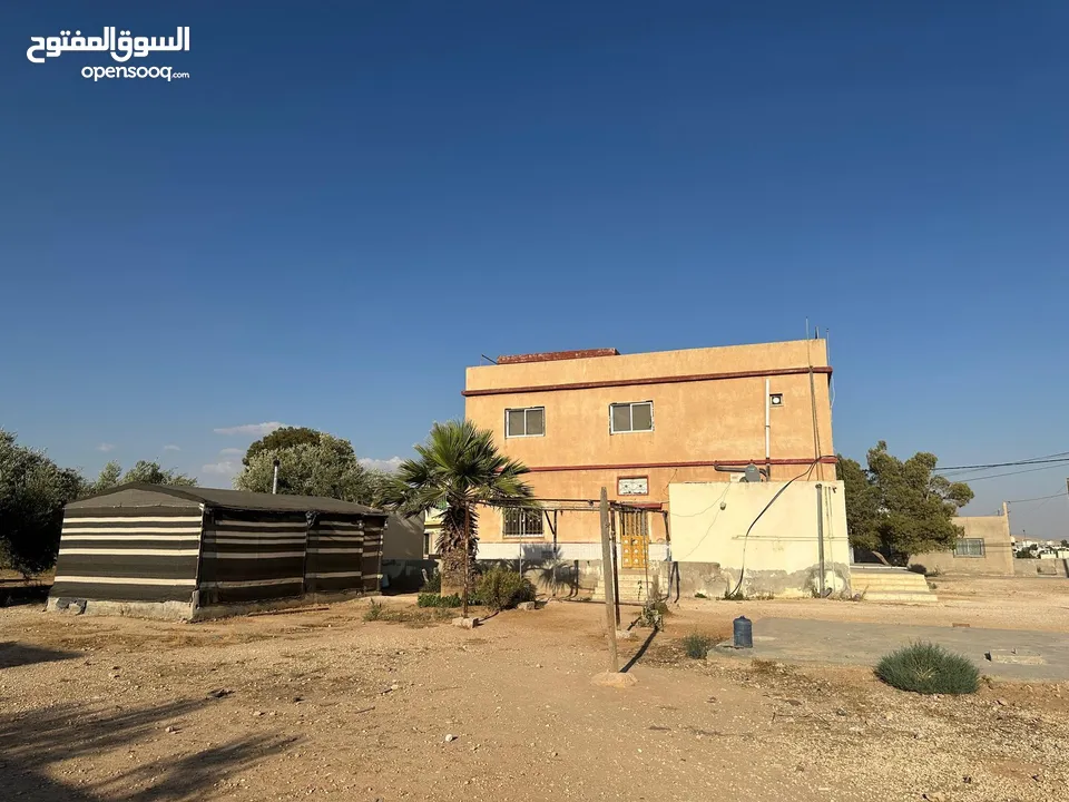 بيت للبيع ف