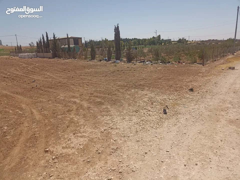 ارض للبيع في المفرق