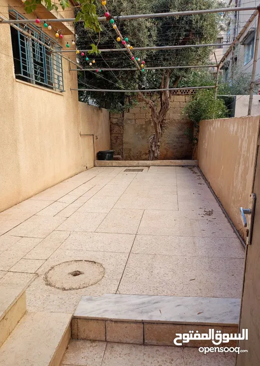 شقة فارغه للايجار الهاشمي الشمالي