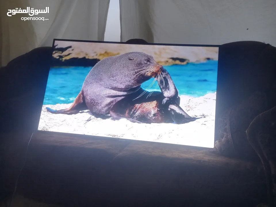 شاشه حجم 58 سامسونج سمارت للبيع