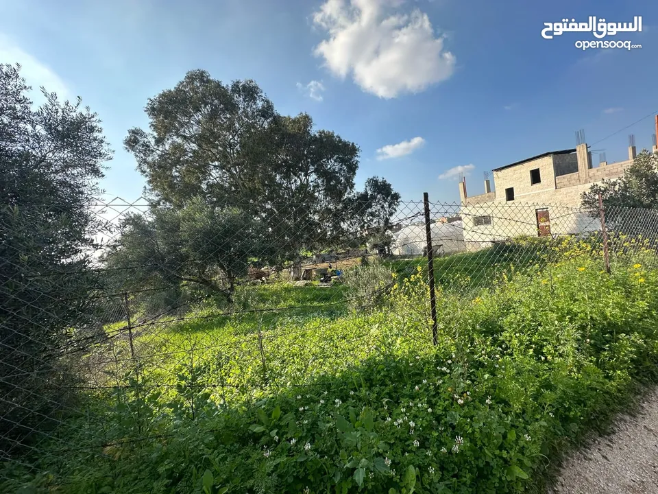 قطعة أرض نص دونم نار موقع قريب من المدينة مطلة على شارع فرعون واصلها جميع الخدمات (ليست فرعون البلد)