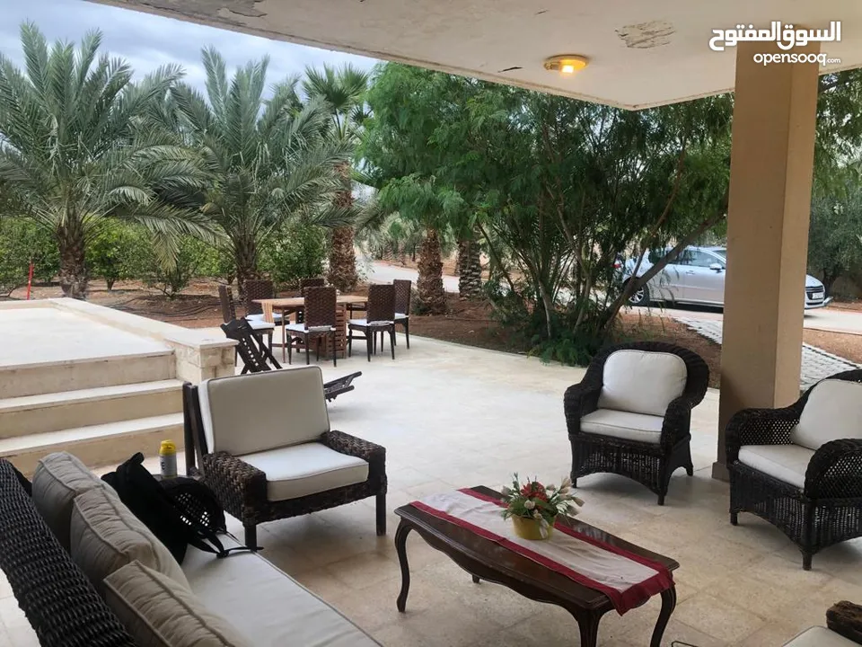مزرعة في الشونة الجنوبية / غور نمرين - ref: 12165