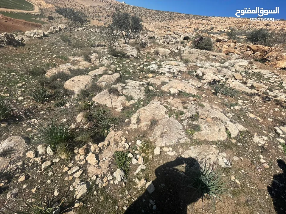 ارض بسعر مغري