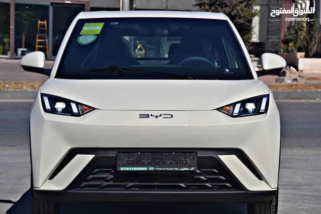 BYD SEAGULL FLYING 2024
