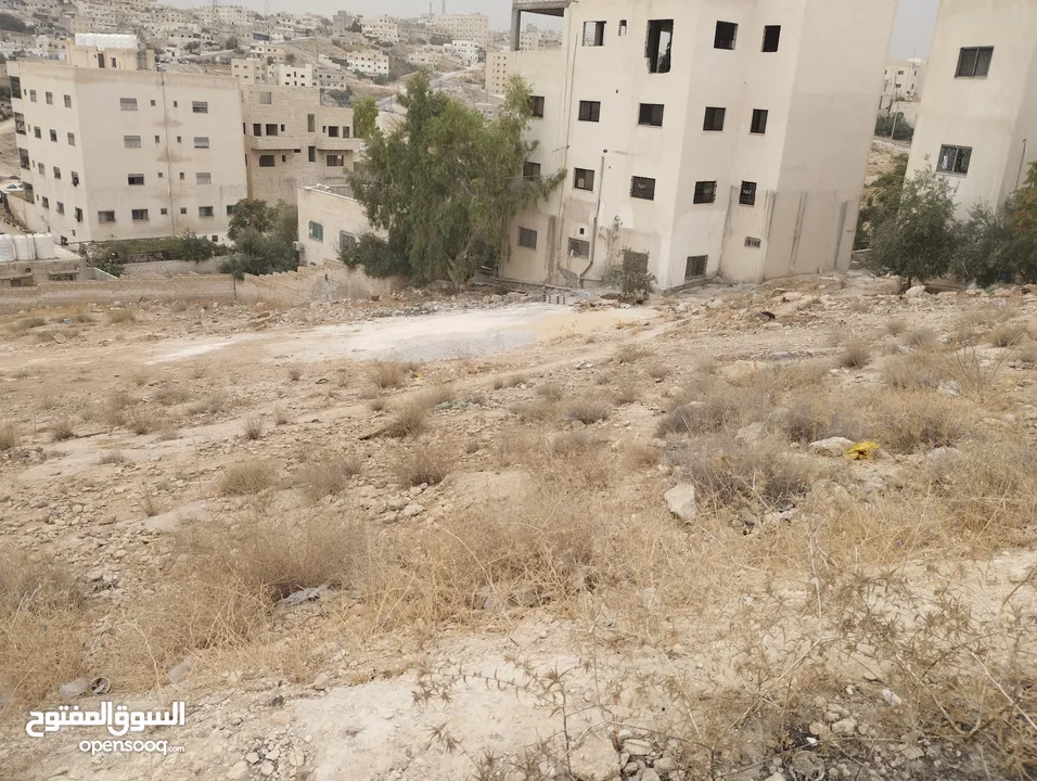 قطعة أرض مميزة في منطقة جريبا للبيع