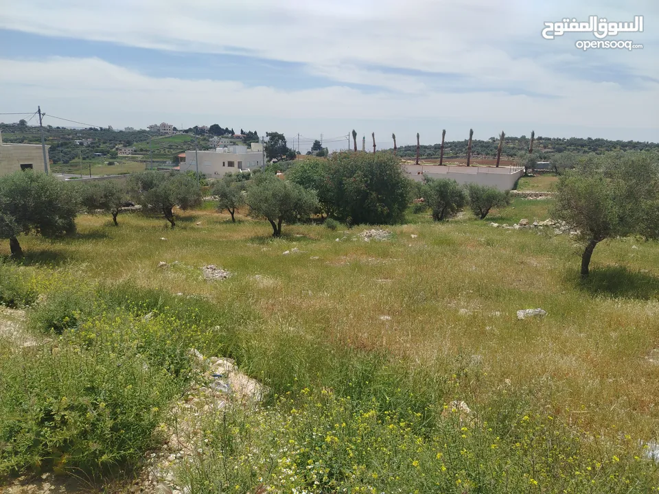 دنم مميز بطنا ع شارعين قرب شارع الستين الجديد