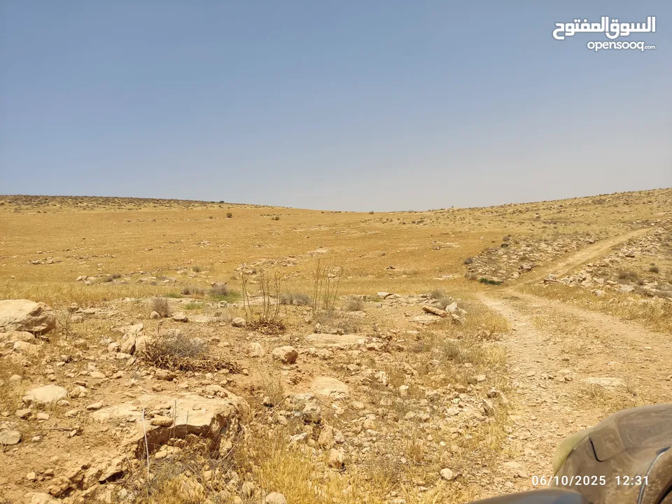 أرض استثمارية مميزة للبيع في الزرقاء جريبا مرتفعة ومطلّة على مدينة عمان