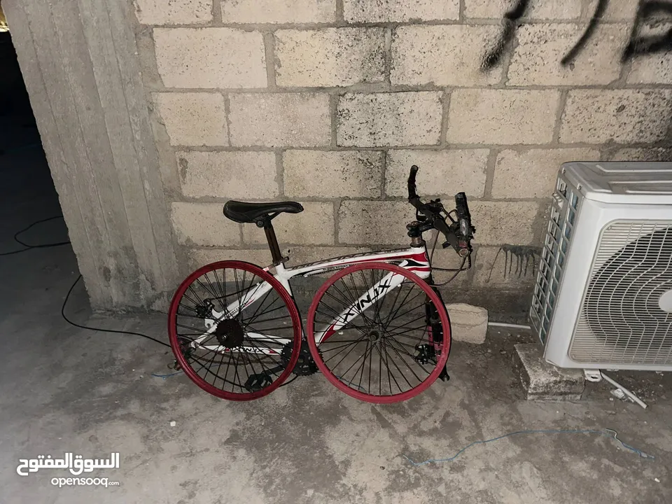 بسكاليت امريكي مستعمل للبيع بسعر 25 دينار
