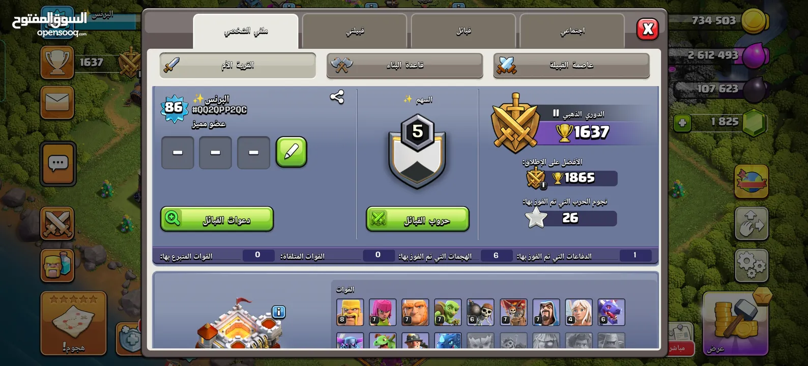 قريات متعوب عليهن مع الكلان للبيع