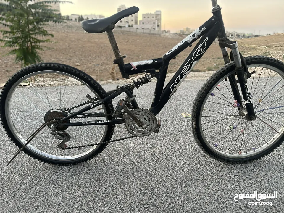 بسكاليت جنط 24