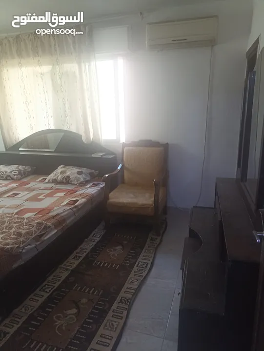 شقه مفروشه للايجار