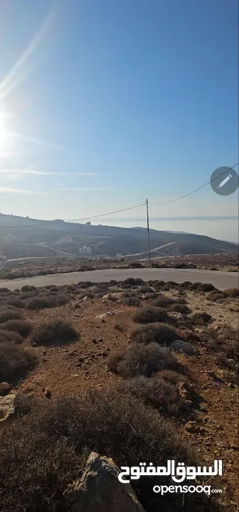 ارض للبيع ناعور المشقر (خلف الجامعة الالمانية)