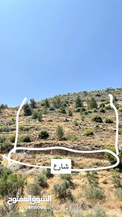 ارض للبيع في منطقة حسكا