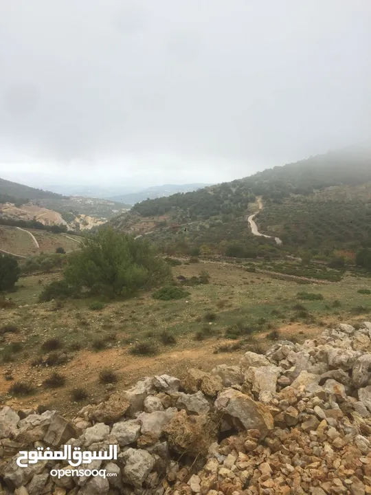 أرض ممتازة في جرش للسكن و للزراعة بقرب أحراش الدولة و سعر مغري  للمزيد من المعلومات اقرأ الوصف