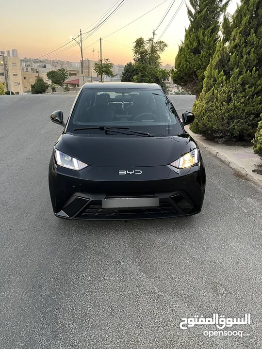 Byd Seagull
