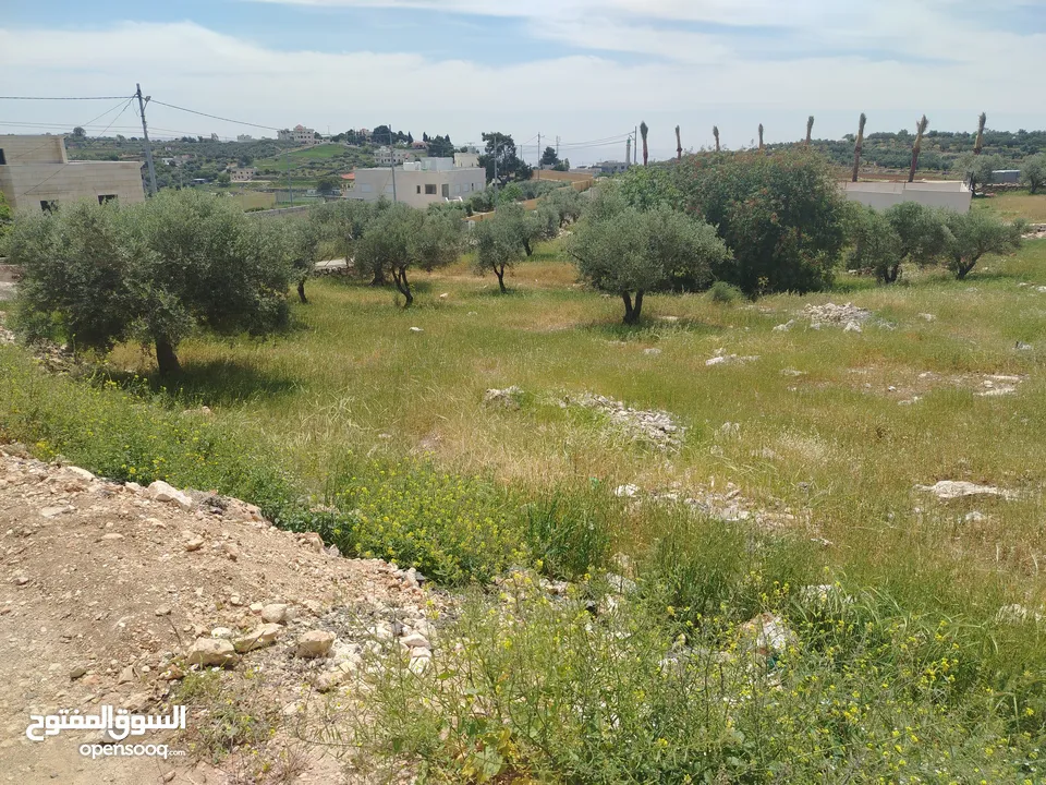 دنم مميز بطنا ع شارعين قرب شارع الستين الجديد