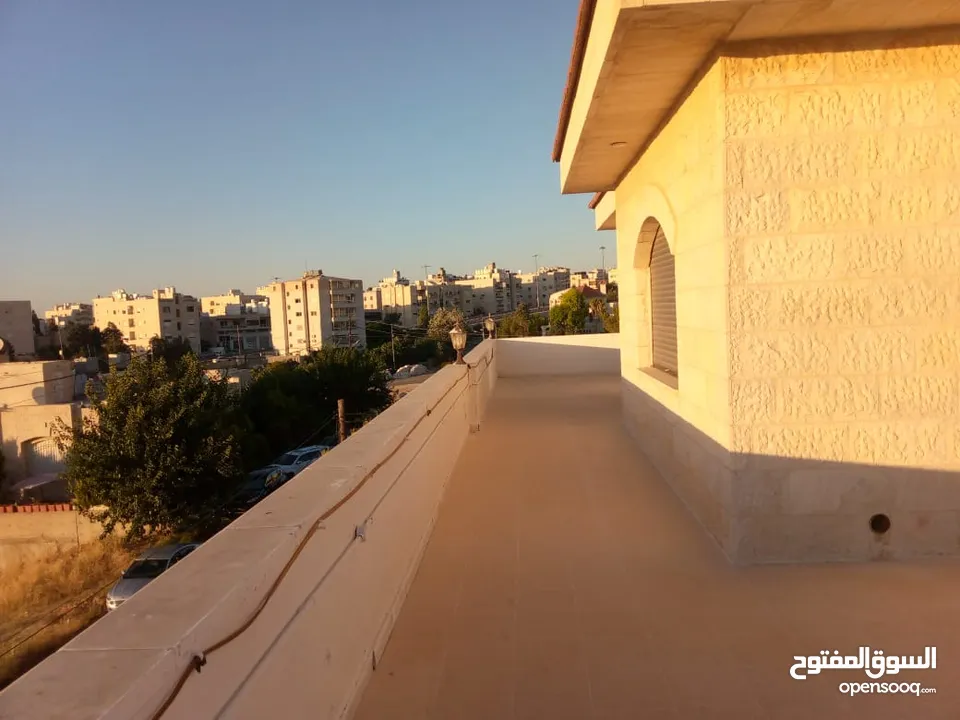روف مع ترس بإطلالــــه بانوراما