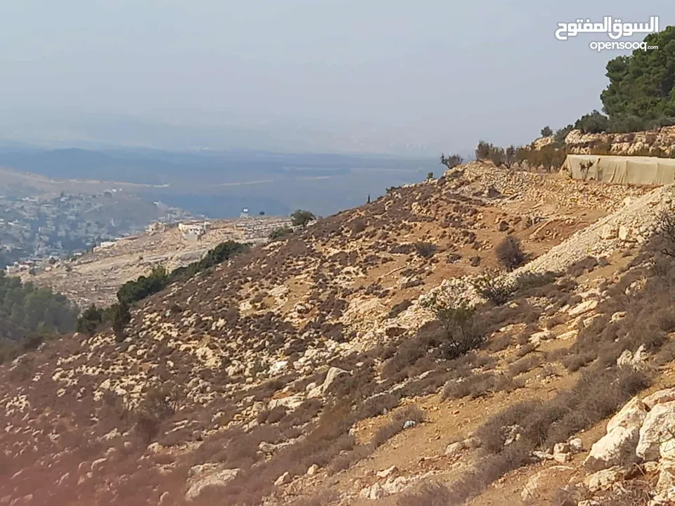 9 دونم تصنيف ب بسعر مميز