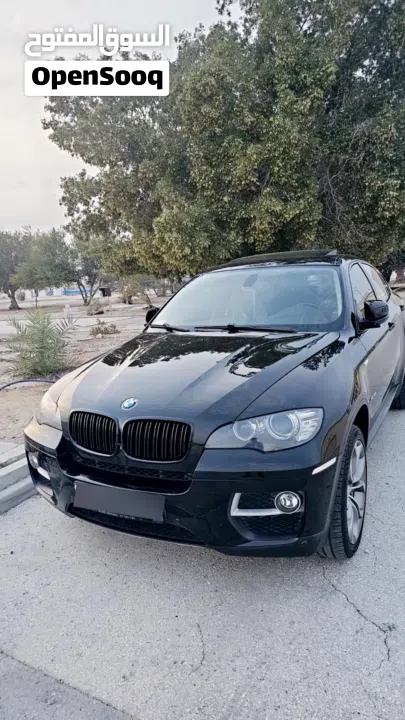 bmw x6 2013 335i