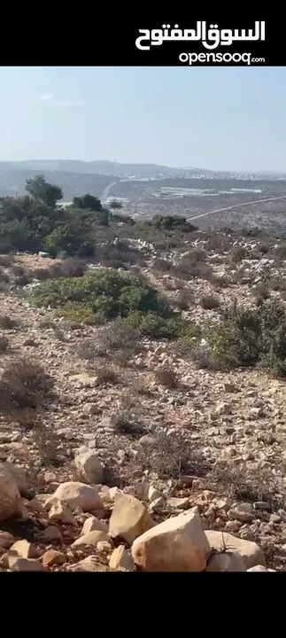 ارض للبيع في بيت ريما مساحه 10دونم   تصنيف