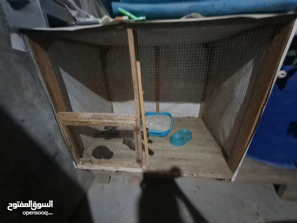 قفص مستعمل يدوي متر ونصف في 80 سم.................................................................