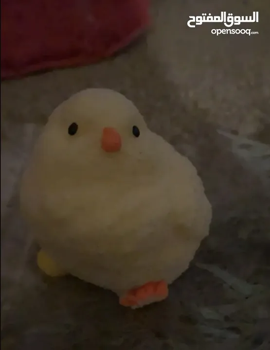 squishy duck toy