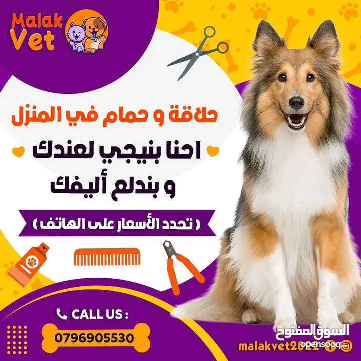 خدمات بيطرية متكاملة للحيوانات الاليفة