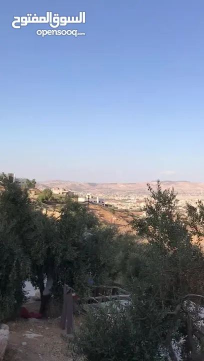 4 قطع اراضي للبيع في منطقة عين الباشا